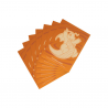 Pokemon - Simplified Chinese - CSFL6 - Dragonite Box