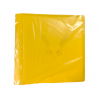 Pokemon - Simplified Chinese - Jolteon 480 Slots File Binder (CSH3)