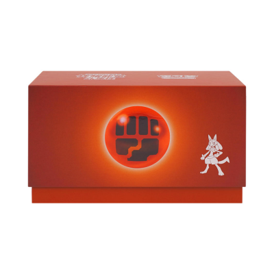 Pokemon - Vereinfachtes Chinesisch - Sammelalbum-Box - Kampf-Typ