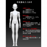 Bjd doll-Nova doll-Alang-1:4
